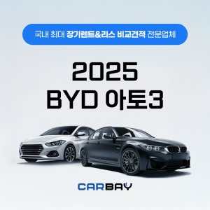 2025 BYD 아토3