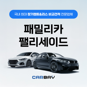 패밀리카 팰리세이드