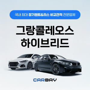 그랑콜레오스 하이브리드