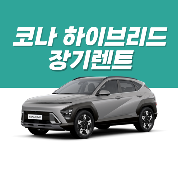카딕트-001 (25) 카딕트-001 (25)