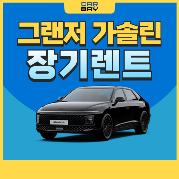 카딕트-005 (30) 카딕트-005 (30)