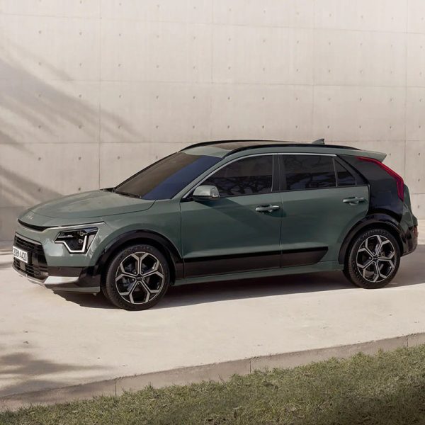 니로 하이브리드 이미지