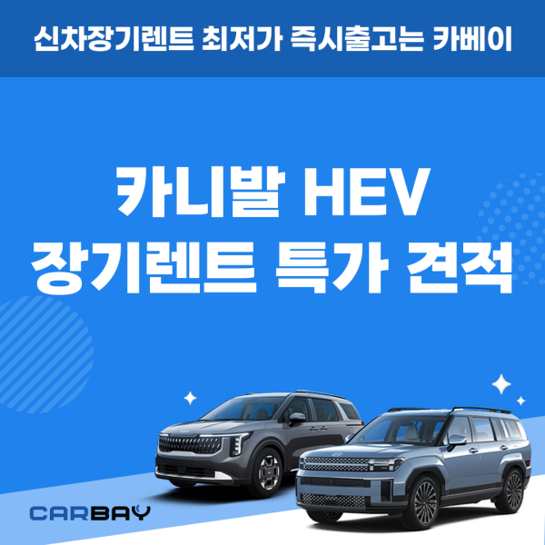 카딕트_JY_-001 (30) 카딕트_JY_-001 (30)