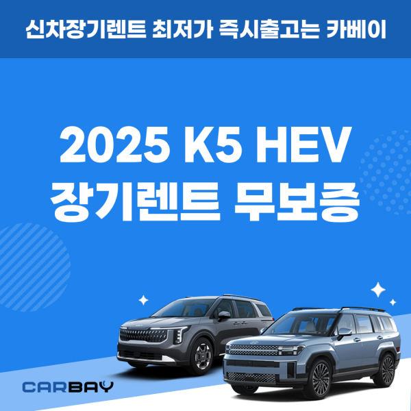 카딕트_JY_-001 (46) 카딕트_JY_-001 (46)