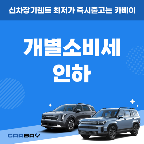 카딕트_지연-001 (4)